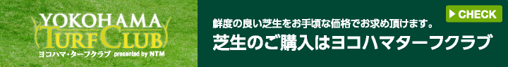 芝生のご購入はヨコハマターフクラブ